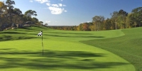 golf article