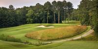 golf article